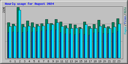 Hourly usage for August 2024